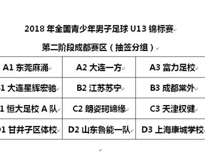 江南体育-中国足球锦标赛事的赛前预测